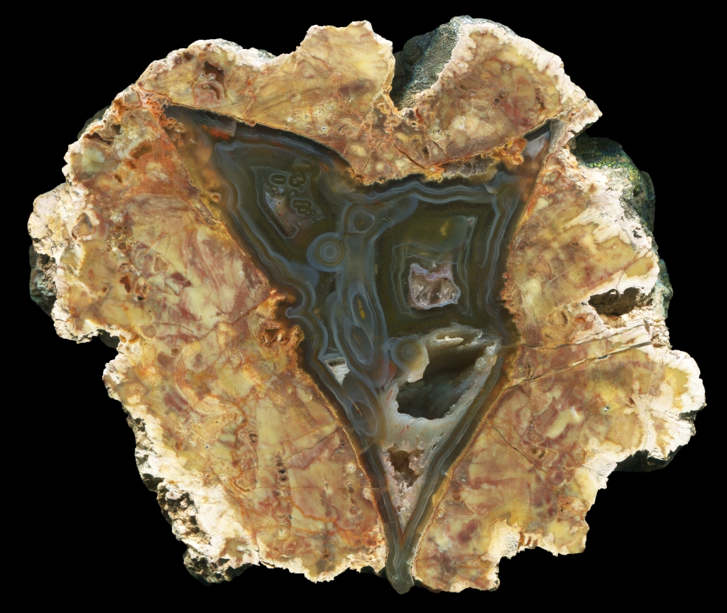 Classic Brown Thunderegg with Dark Agate