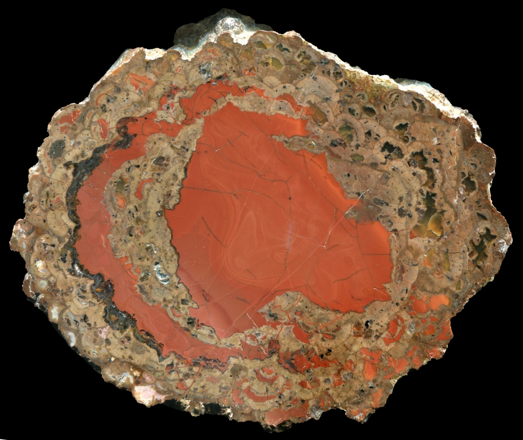Susuz Thunderegg with Orange Jasper
