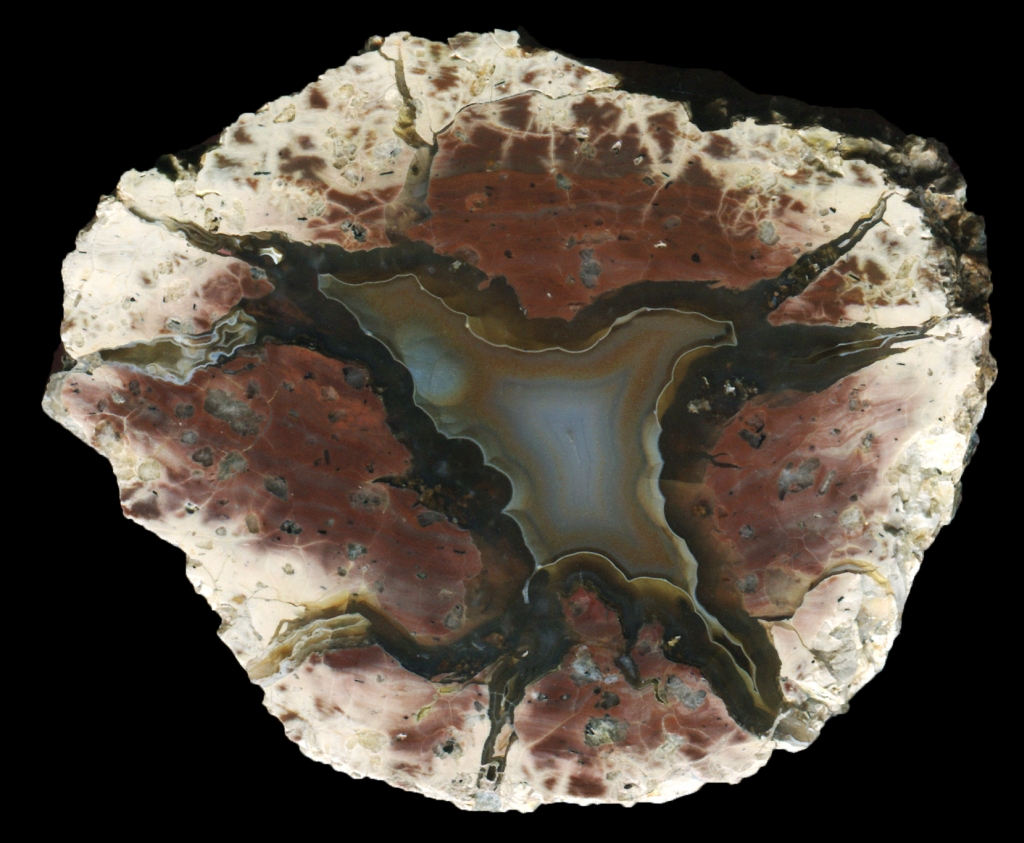 Classic Brown Thunderegg with Dark Agate