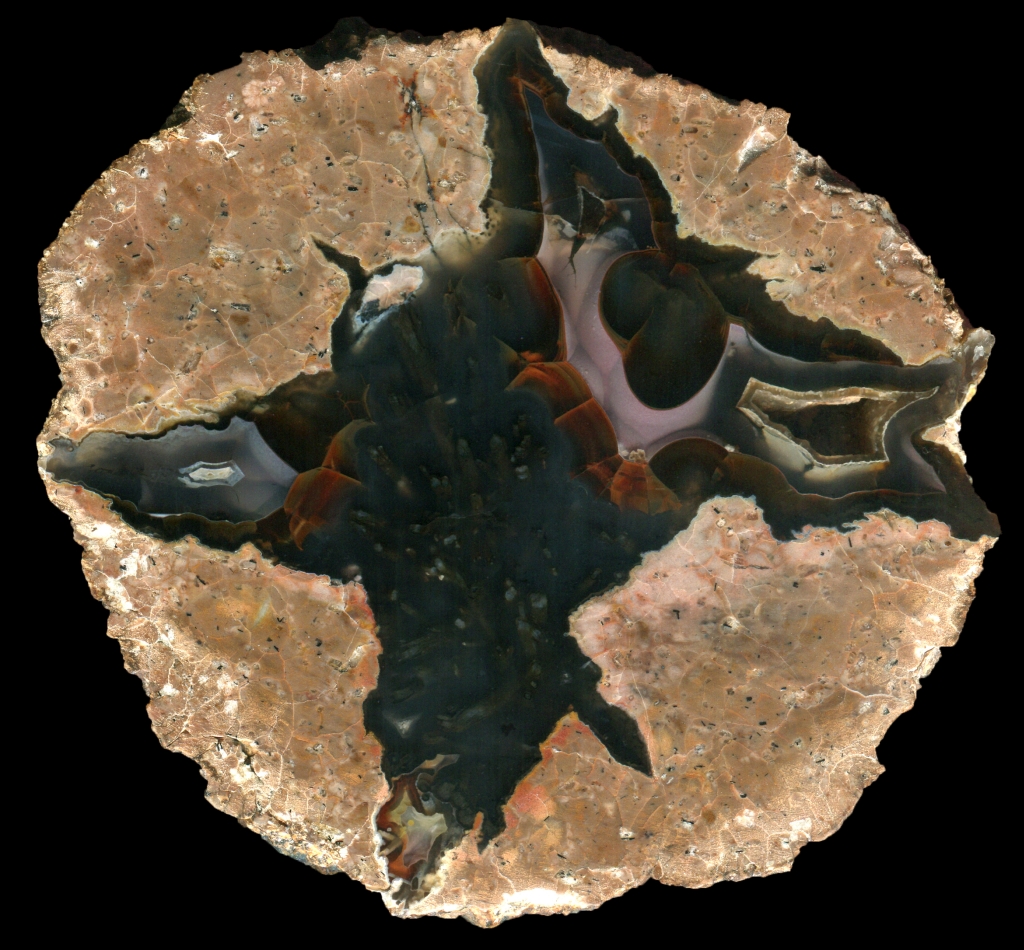 Susuz Thunderegg with Dark Sagenite