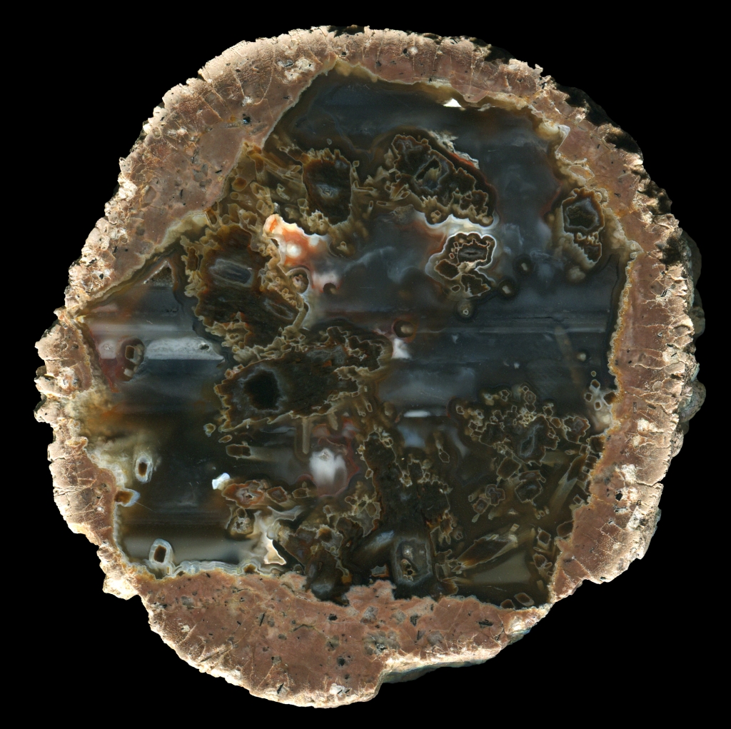 Susuz Thunderegg with Spectacular Sagenite
