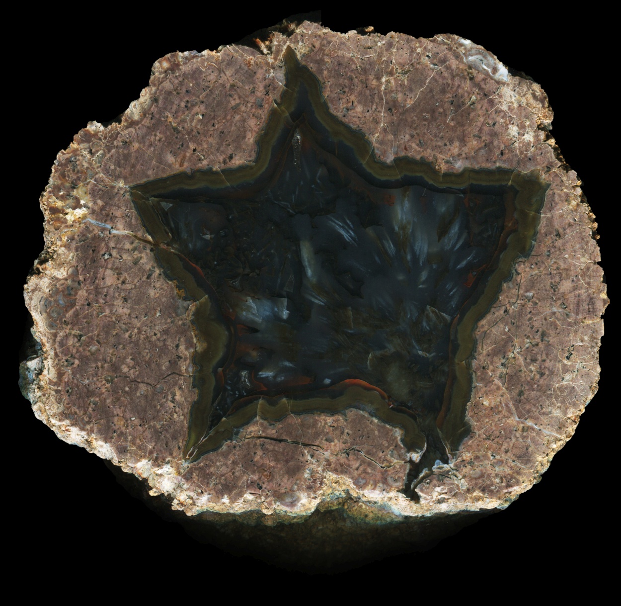 Susuz Thunderegg with Deep Dark Sagenite Agate