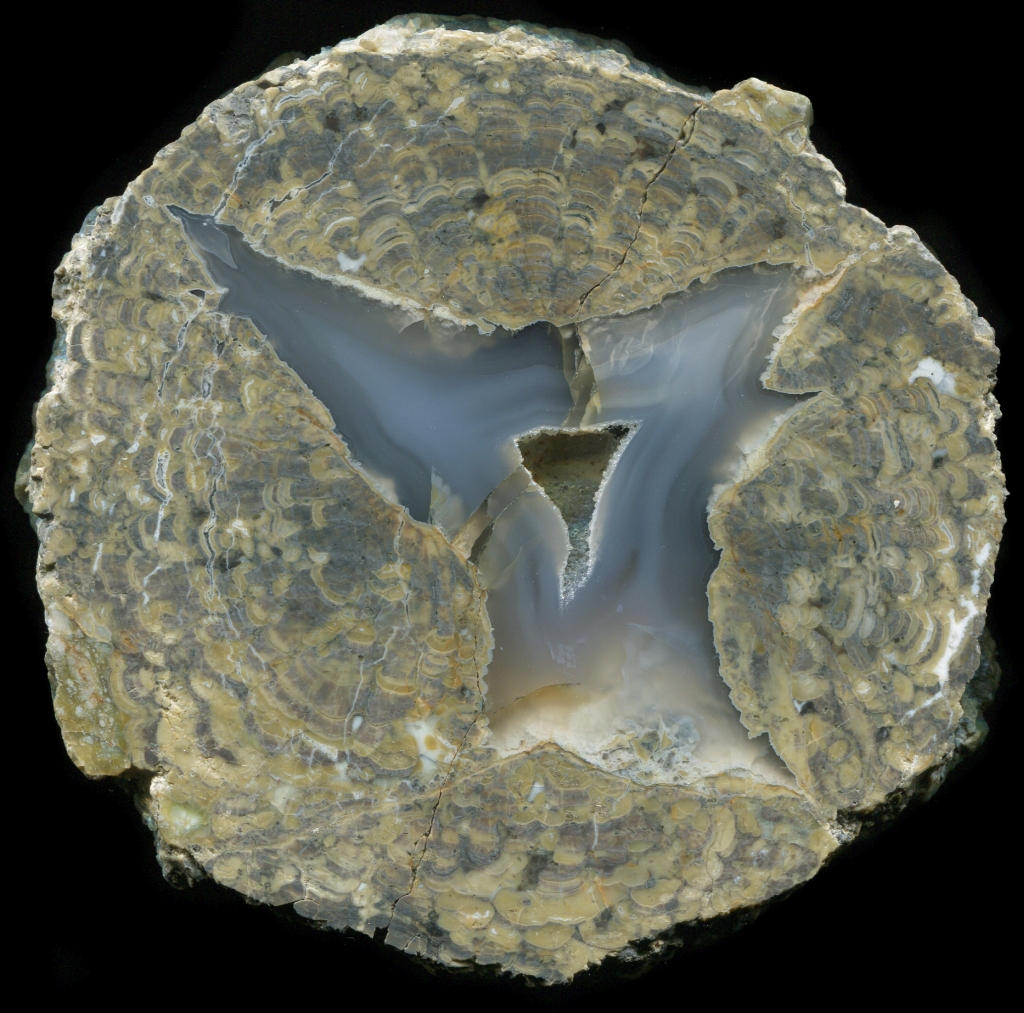 Massive Thunderegg with Green Turkey Tails 