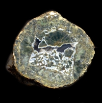 Talkeetna Mountains Thunderegg