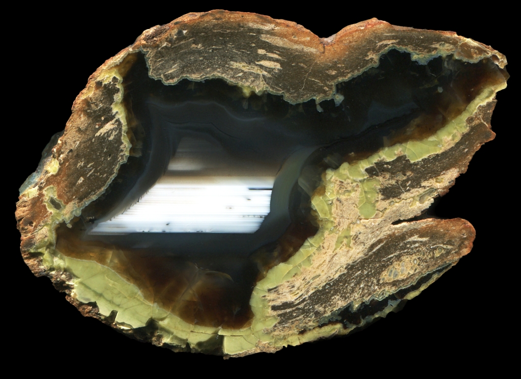 Ayaleft Thunderegg