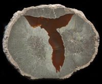 Mirador Thunderegg