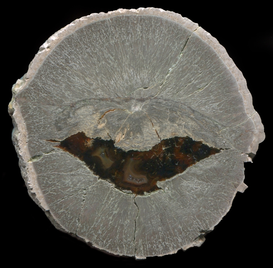 Mirador Thunderegg with Moss