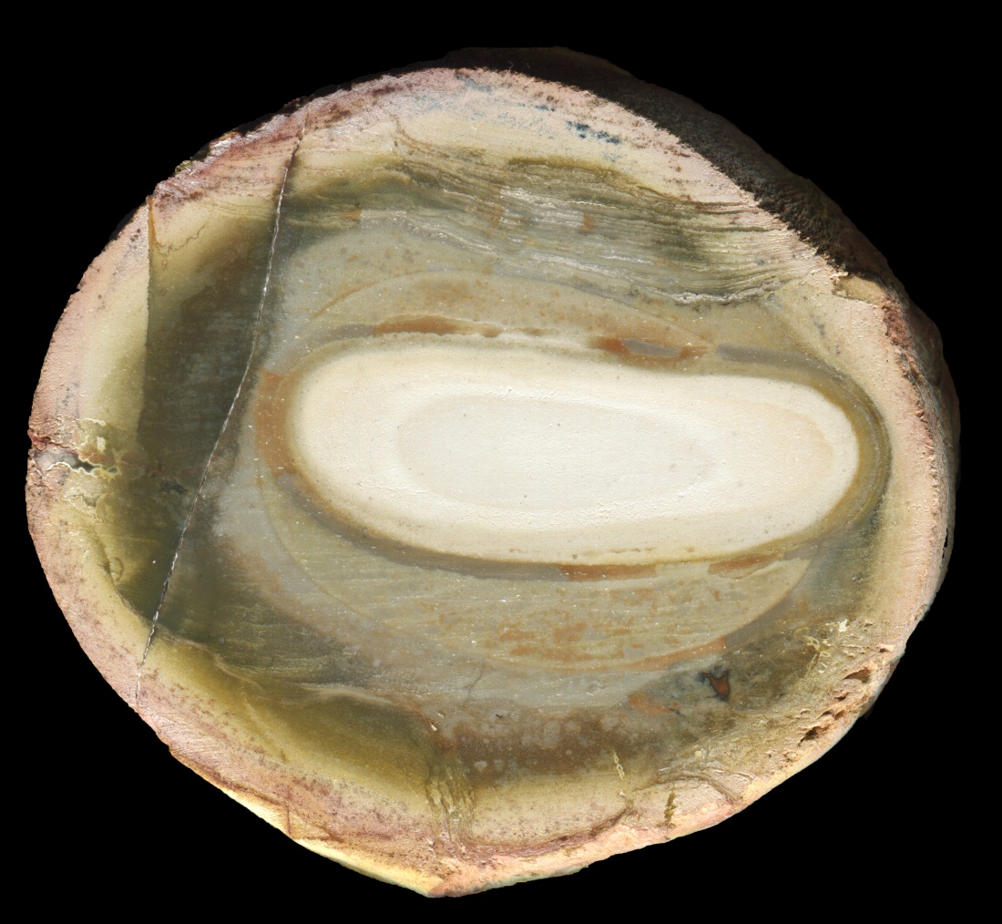 Unknown Rhyolite Nodule