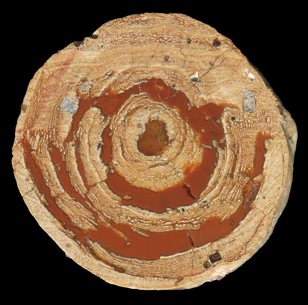 Unusual Agate Creek Thunderegg with Atol Formations