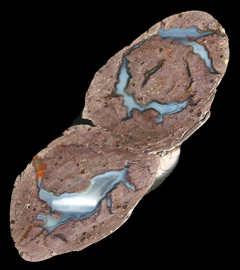 Double Agate Creek Black Soil Blue Specimen