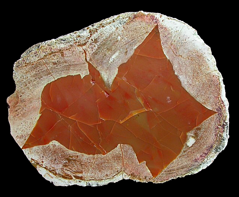 Mount Hay Jasper Thunderegg