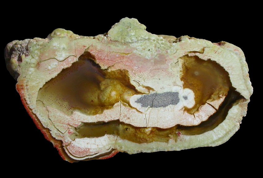 Curious Little 'Atoll' Thunderegg from Mount Hay