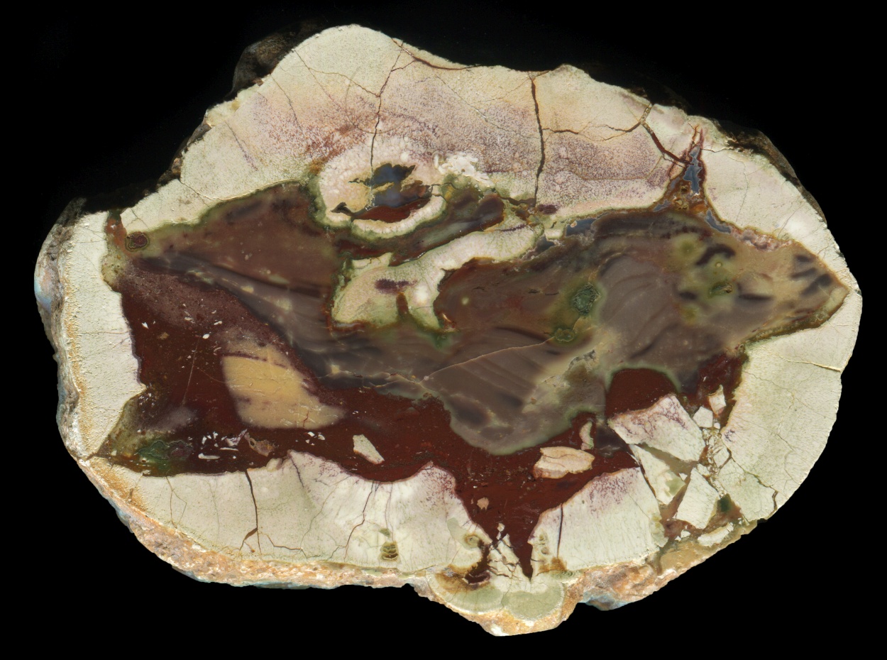 Mount Hay Thunderegg with Silicified Mud