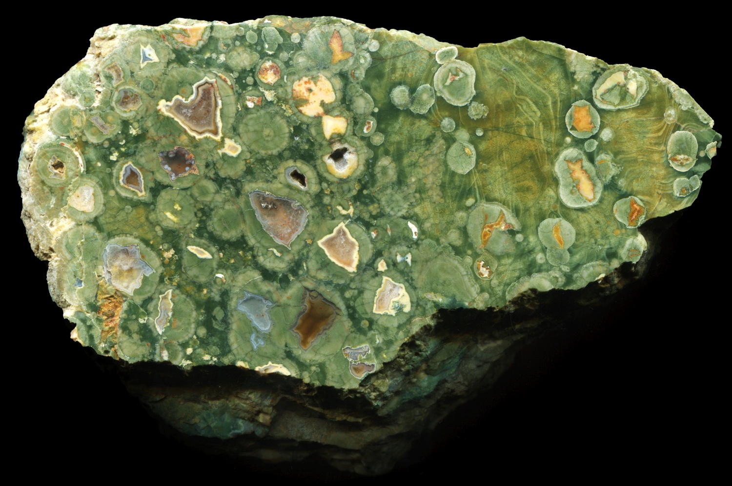 Bright Green Rainforest Ryolite with Colourful Thundereggs