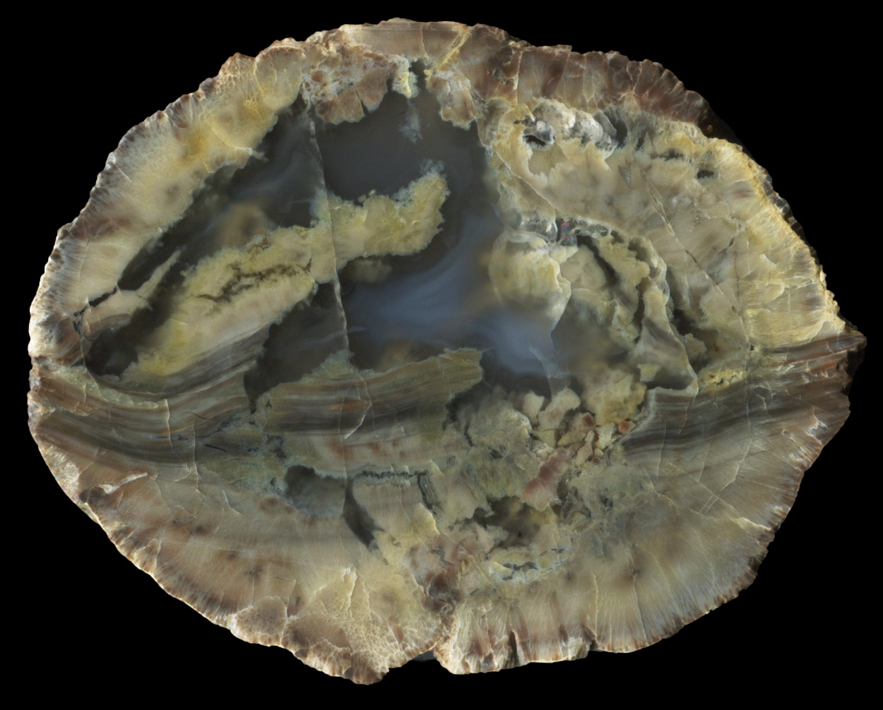 Unusual Black Dome Thunderegg with Flowbanding