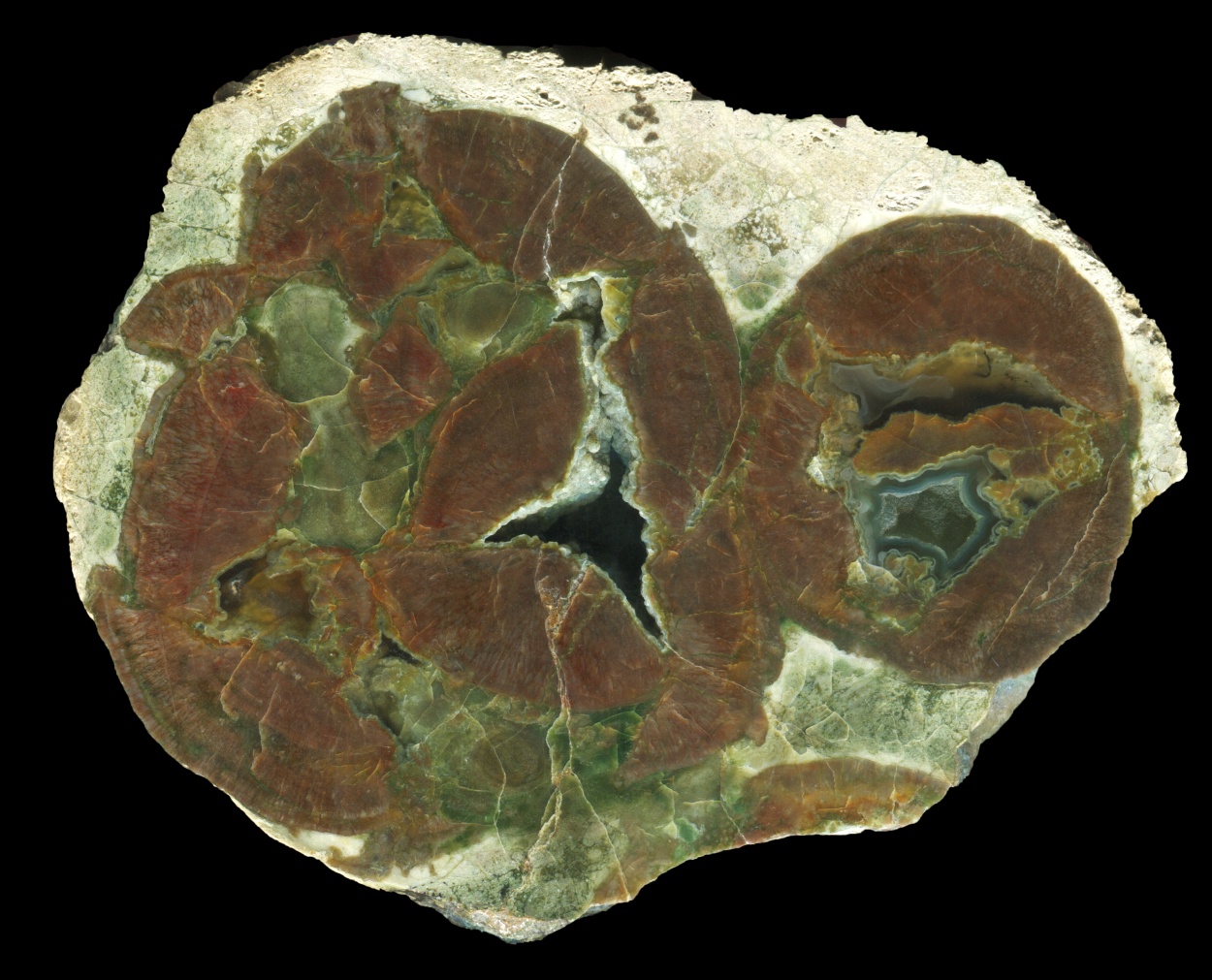 Black Dome Thunderegg with Red Matrix