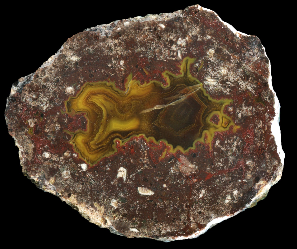 Pujiang Thunderegg with Rich Dark Matrix