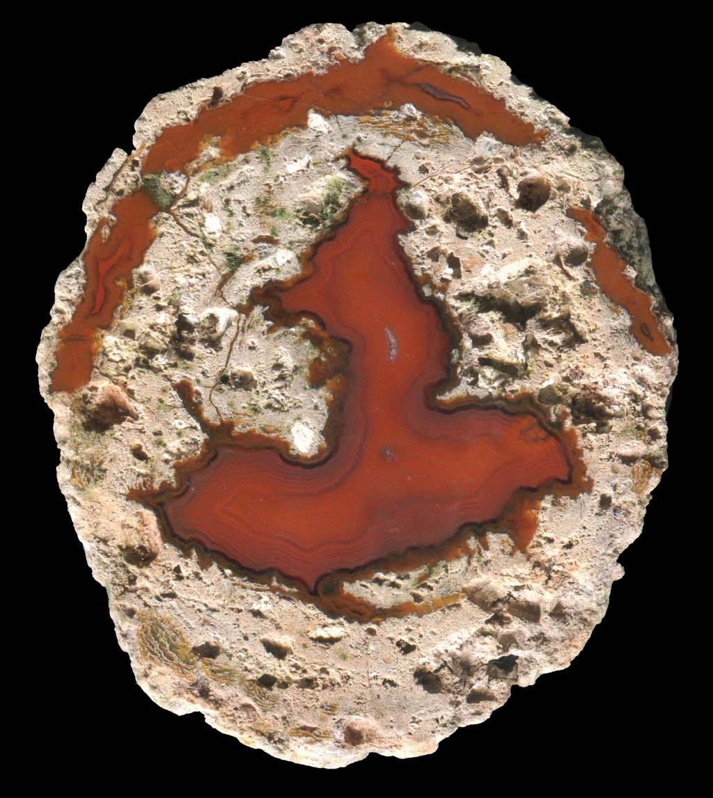 Bright Red Pujiang Thunderegg