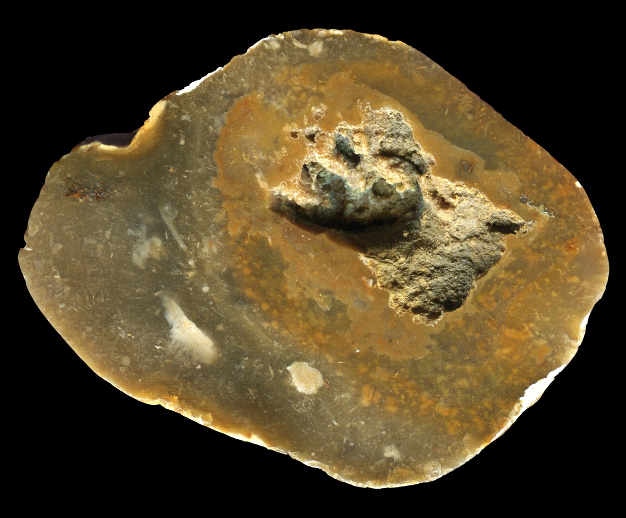 Sandwich / Deal Flint with Fossil Sponge