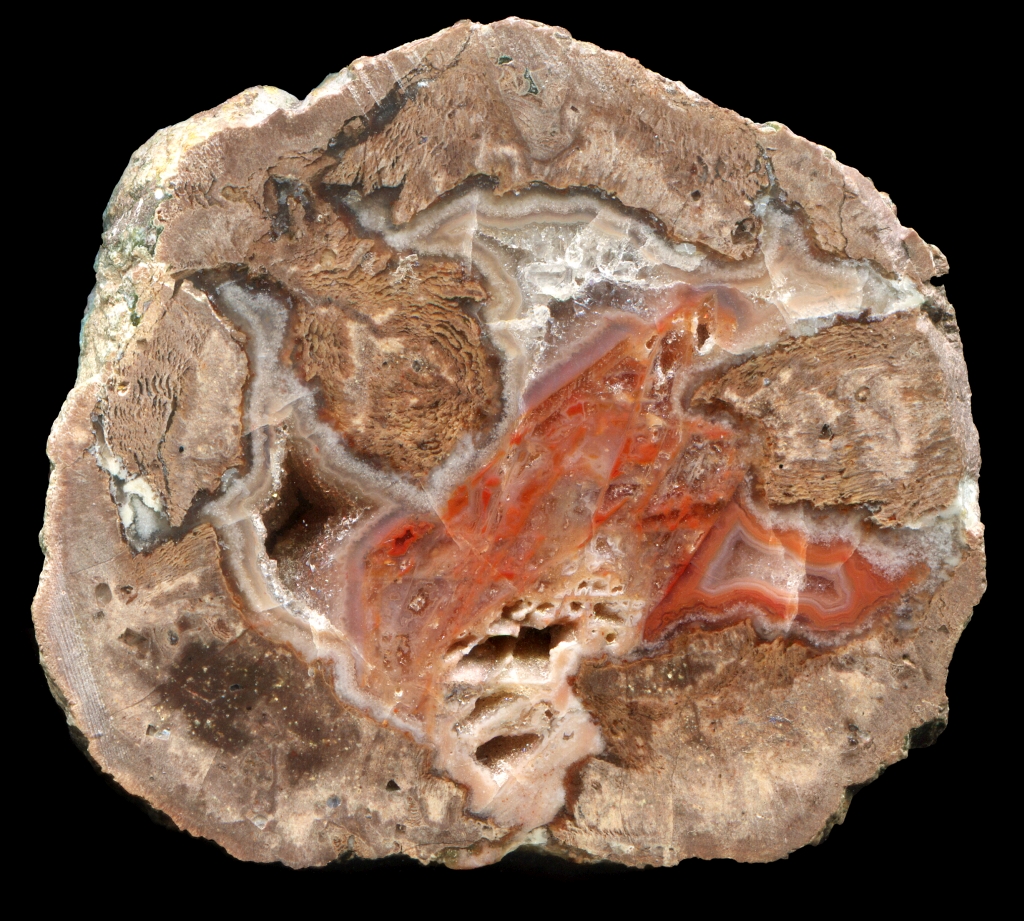 Esterel Darboussière Thunderegg with an Unusual Complicated Core