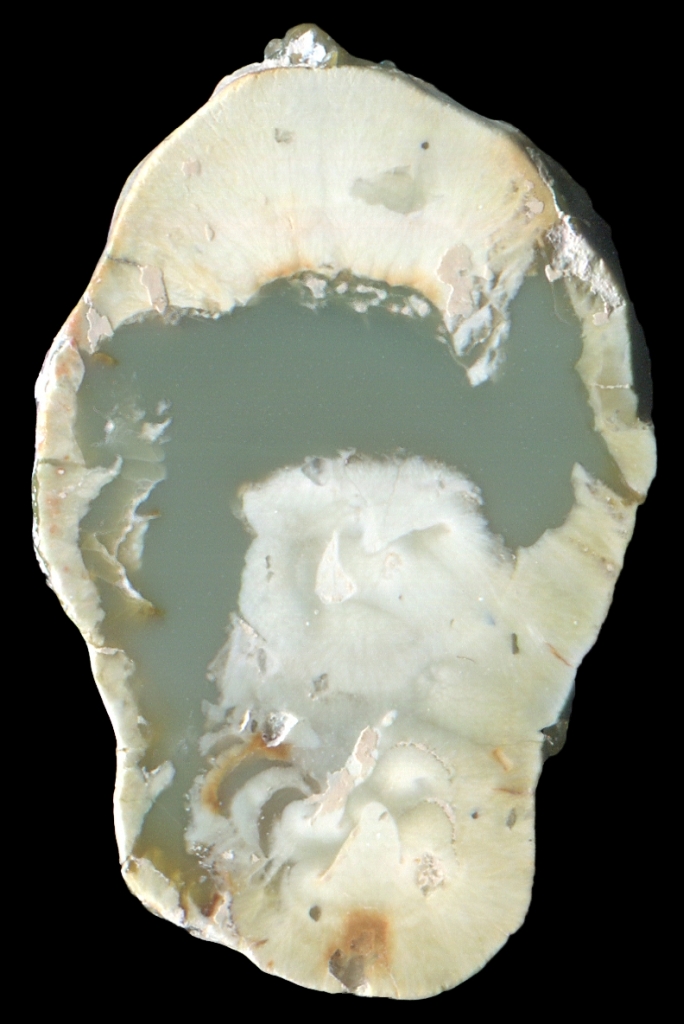 Miniature White Darboussière Thunderegg with Green 'Jasper'