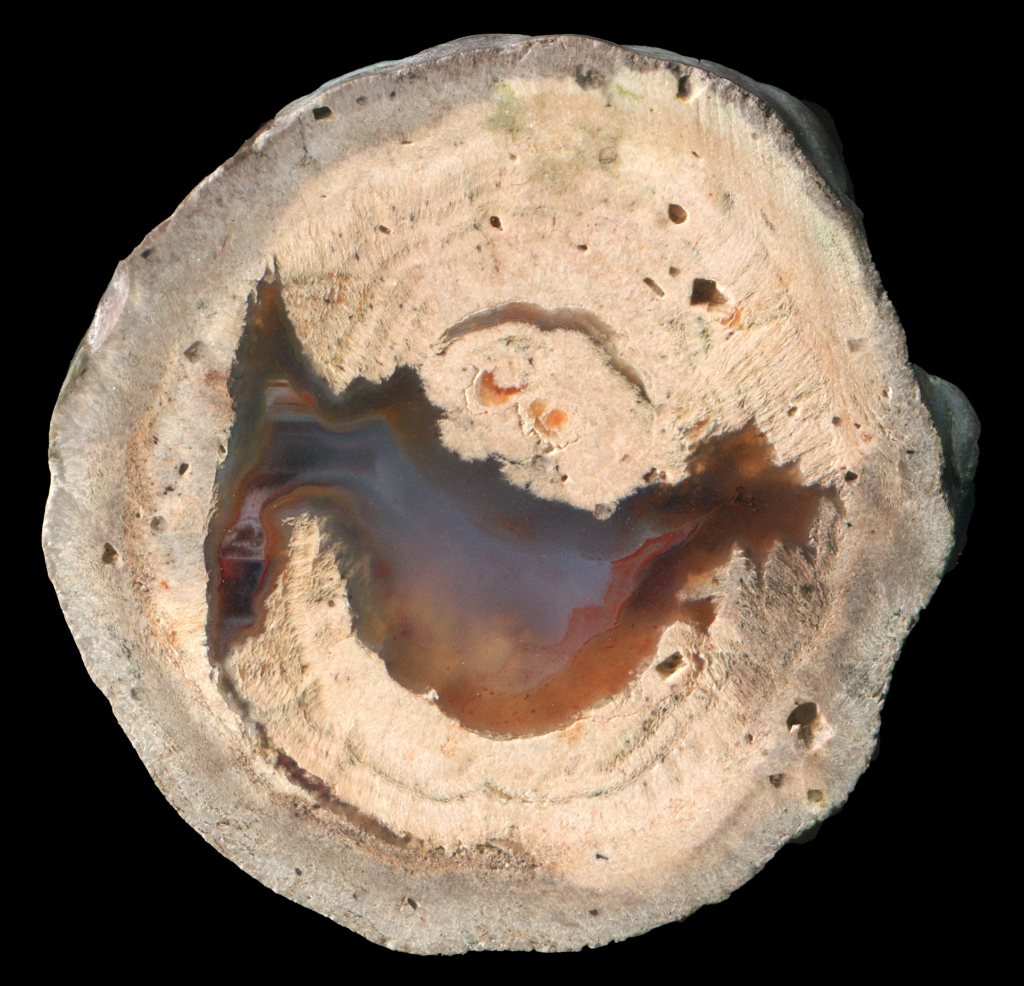 Le Forestier Thunderegg with Simple Agate