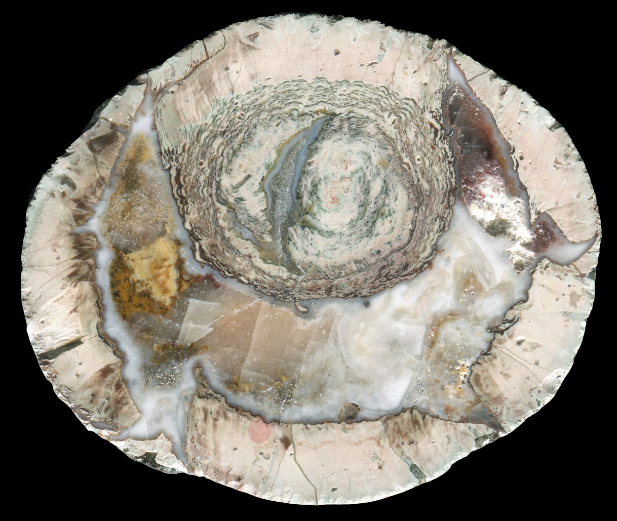 Very Large Esterel La Louve Thunderegg