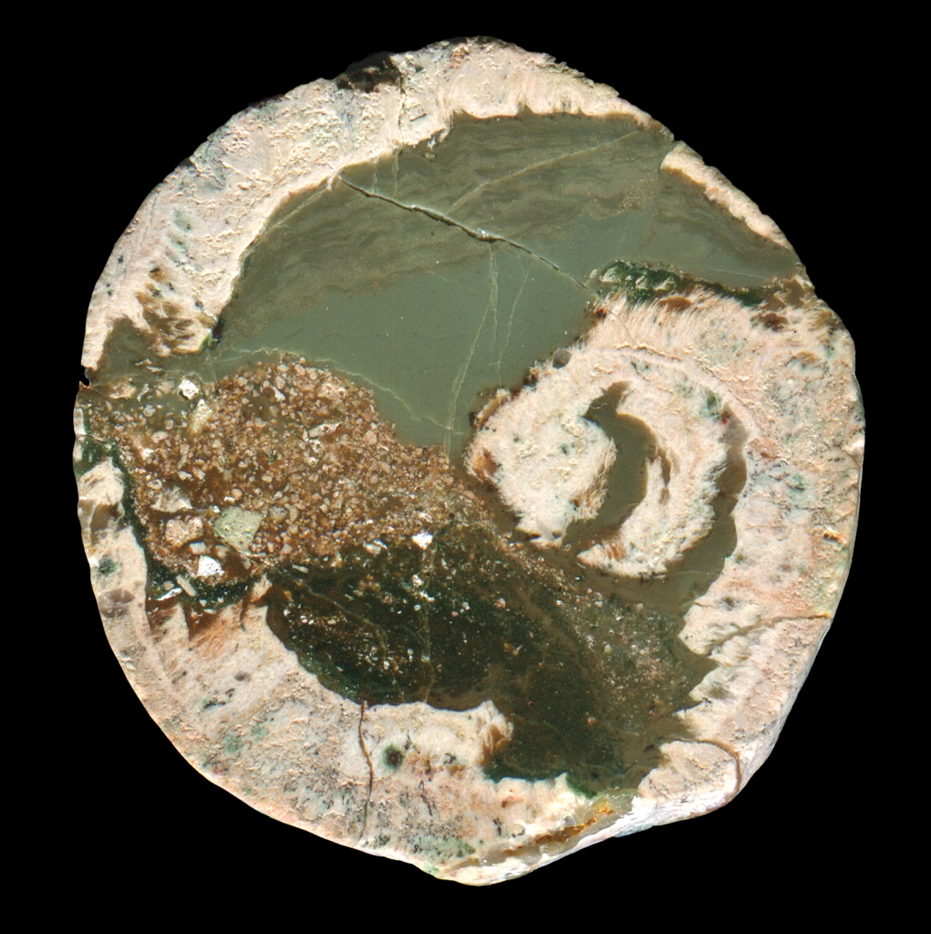 Small Esterel La Louve Thunderegg With Green Silicified Mud