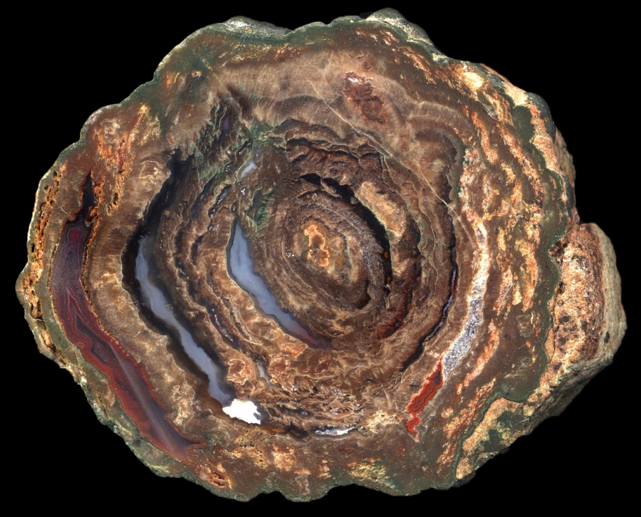 Esterel La Vigne Thunderegg with Onion Rings