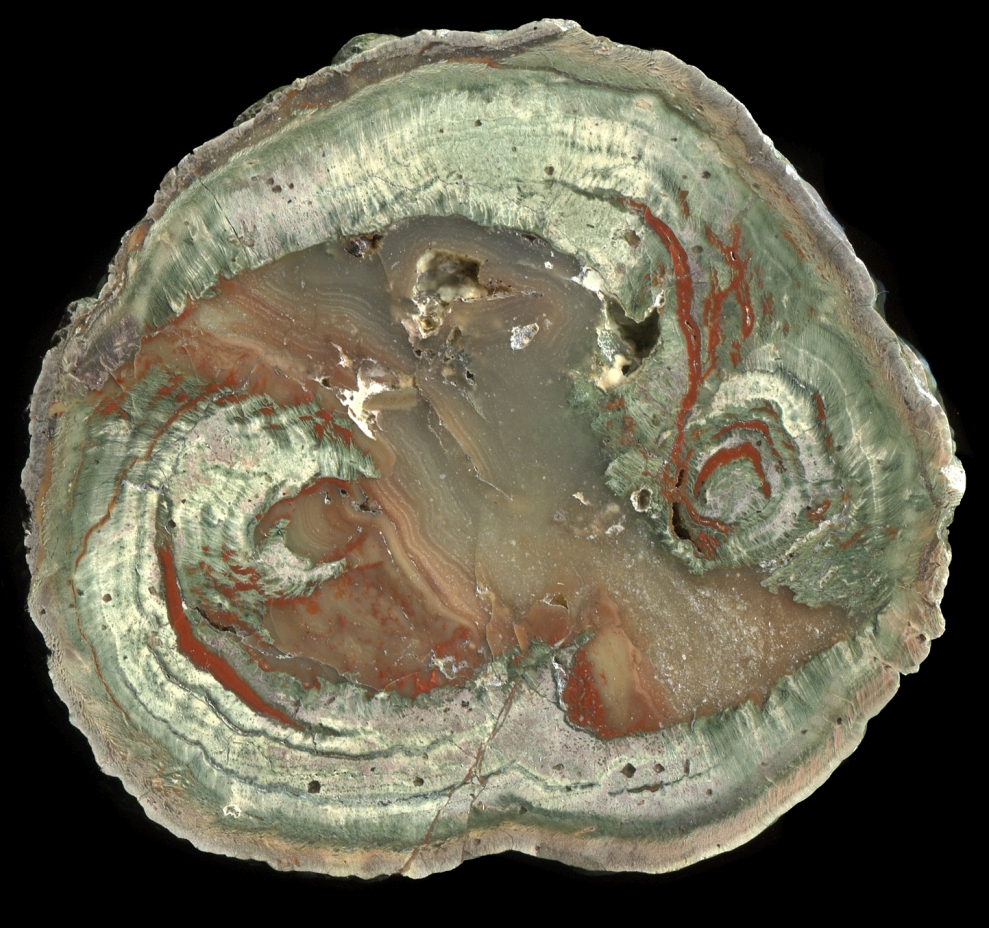 Unusual Large Esterel La Vigne Thunderegg with Silicifeid Mud