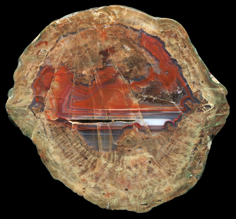 Esterel La Vigne Thunderegg with Colourful Agate