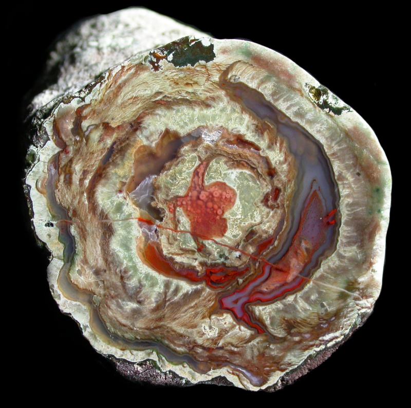Complex Esterel La Vigne Thunderegg