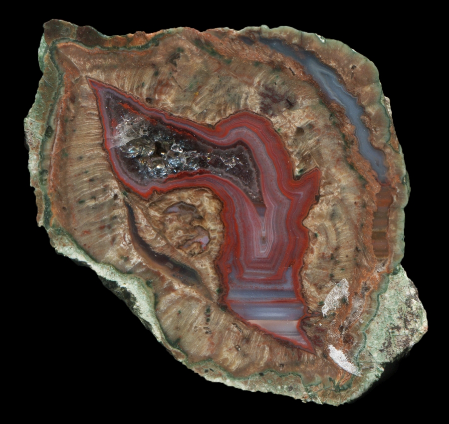 Twisted Esterel La Vigne Thunderegg