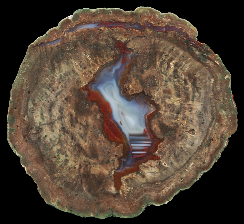 Very Large Esterel La Vigne Thunderegg