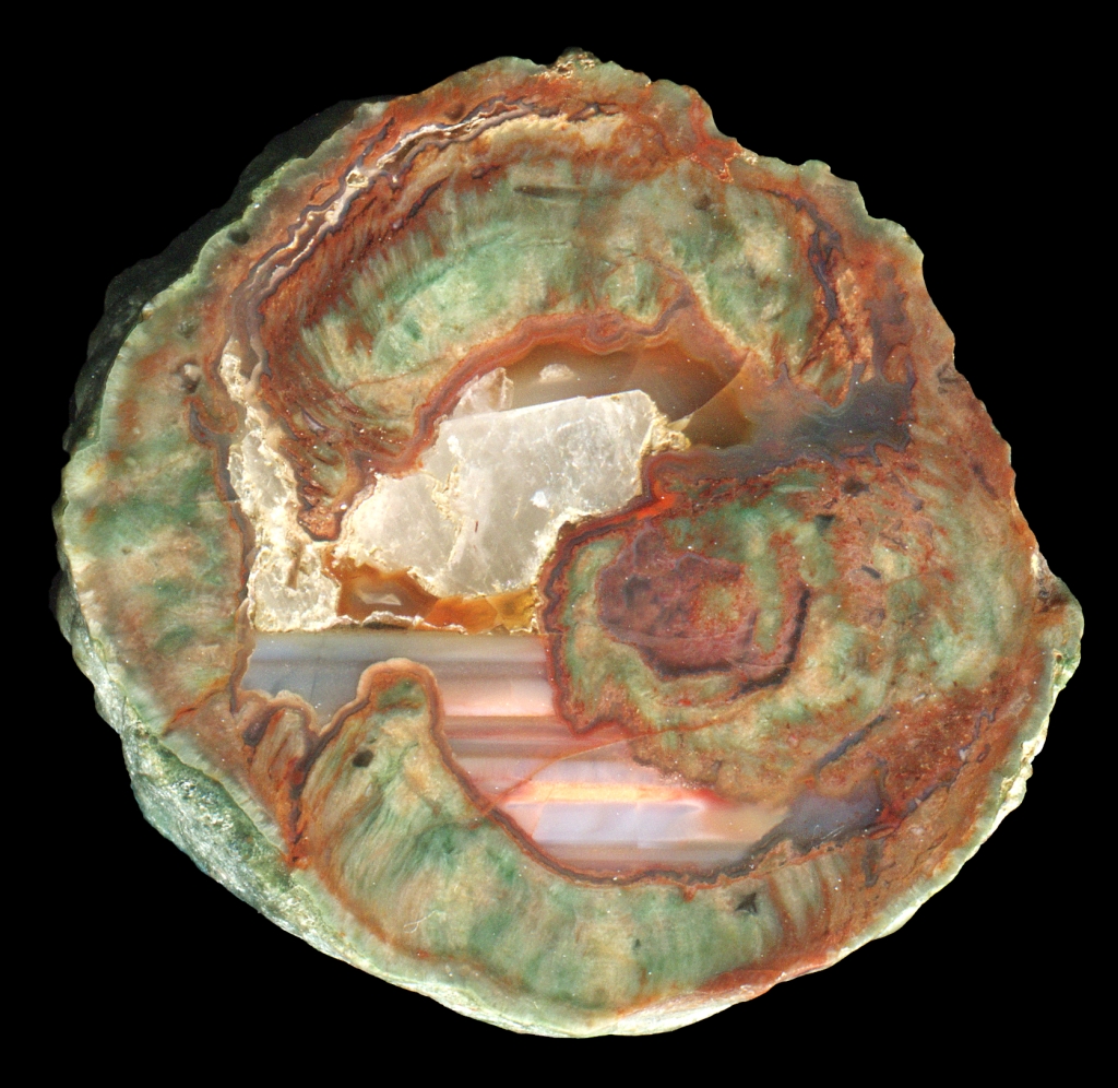 Esterel La Vigne Thunderegg with Soft Intense Colours