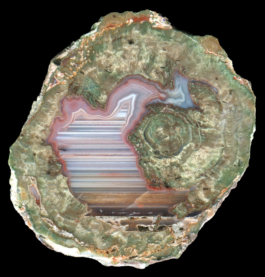 La Vigne Thunderegg with Dense Waterlines