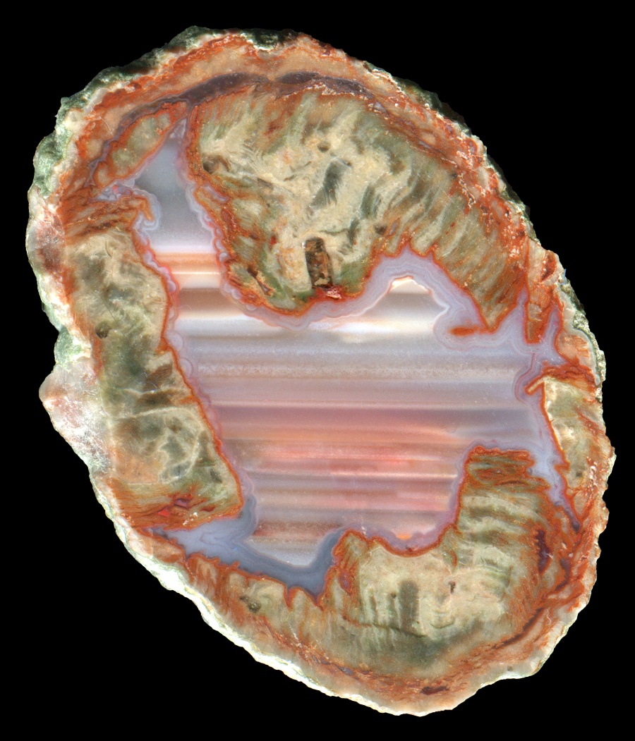 Tiny La Vigne Thunderegg with Colourful Waterline Agate
