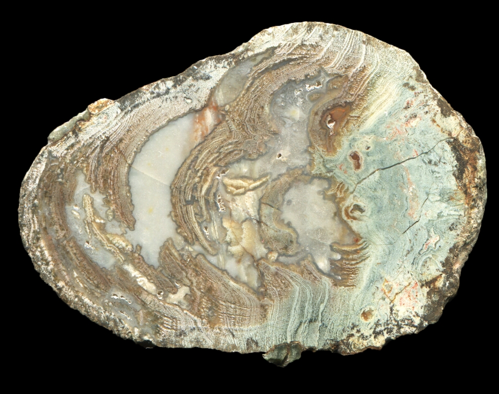 Eckenfels Thunderegg with Creamy Agate
