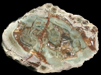 Lierbachtal - Eckenfels Thunderegg with Pseudomorphs