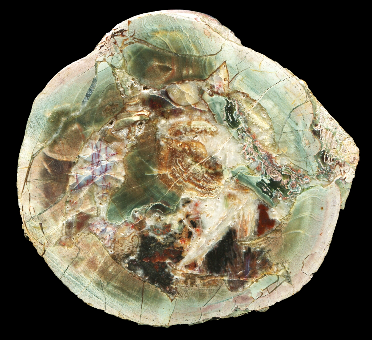 Colourful and Extremely Complicated Eckenfels Thunderegg
