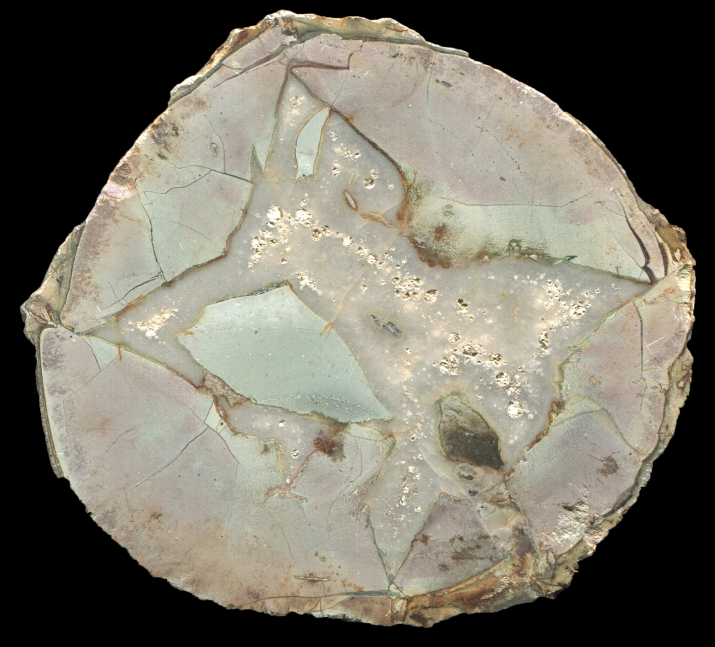 Very Simple Pale Eckenfels Thunderegg