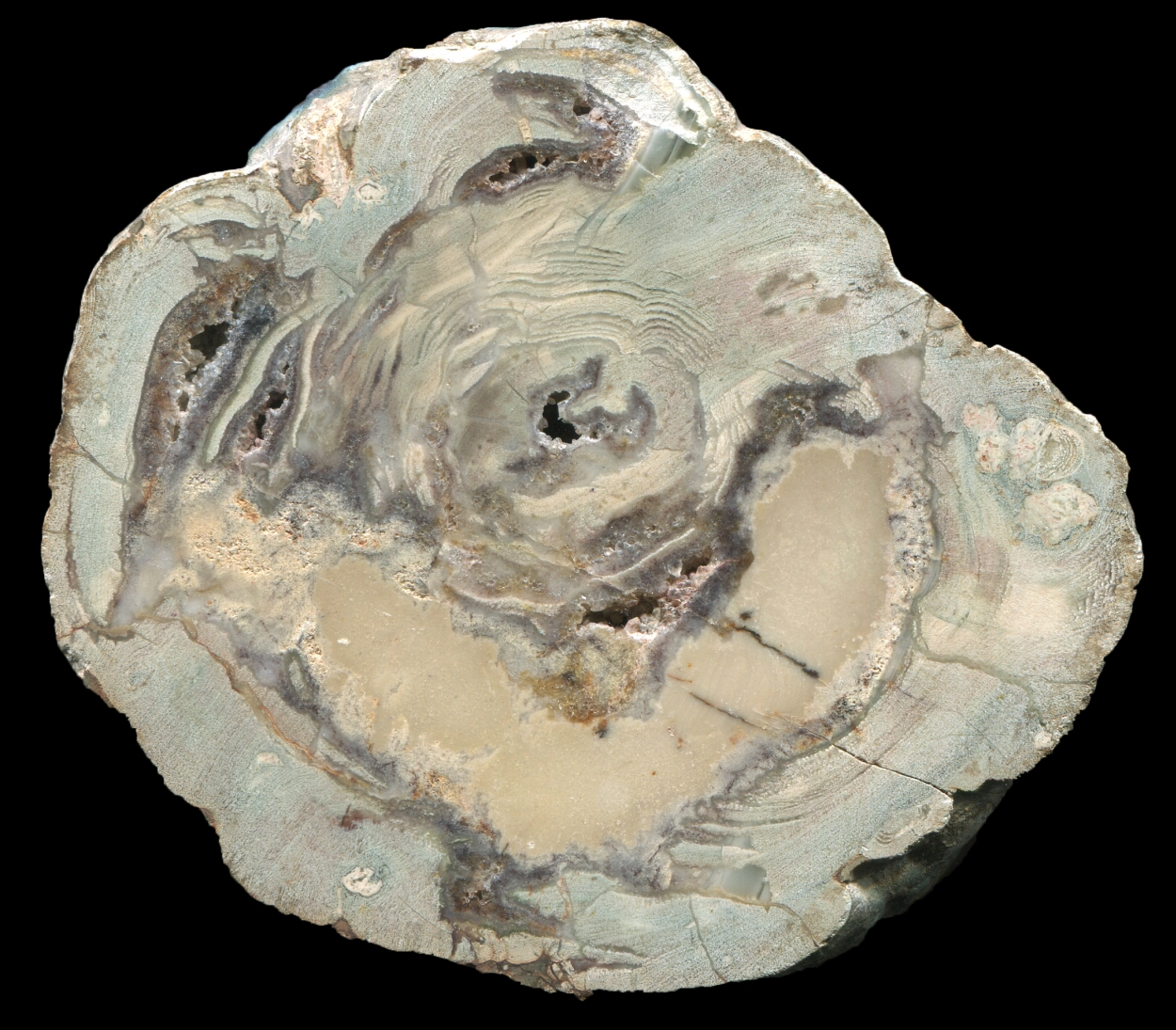 Eckenfels Thunderegg With Creamy Core