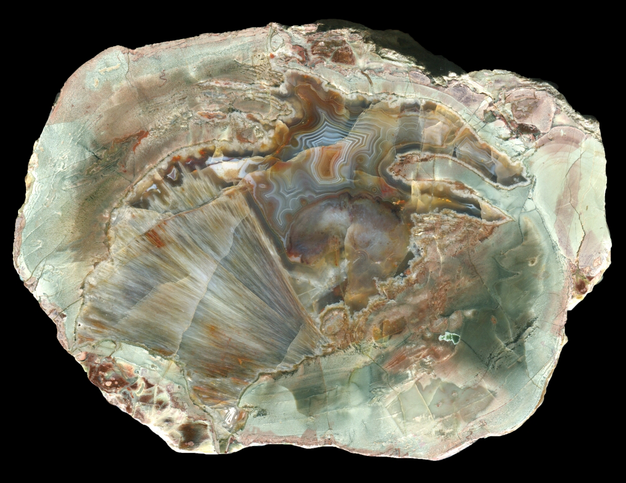 Eckenfels Thunderegg with Massive Sagenite Spray