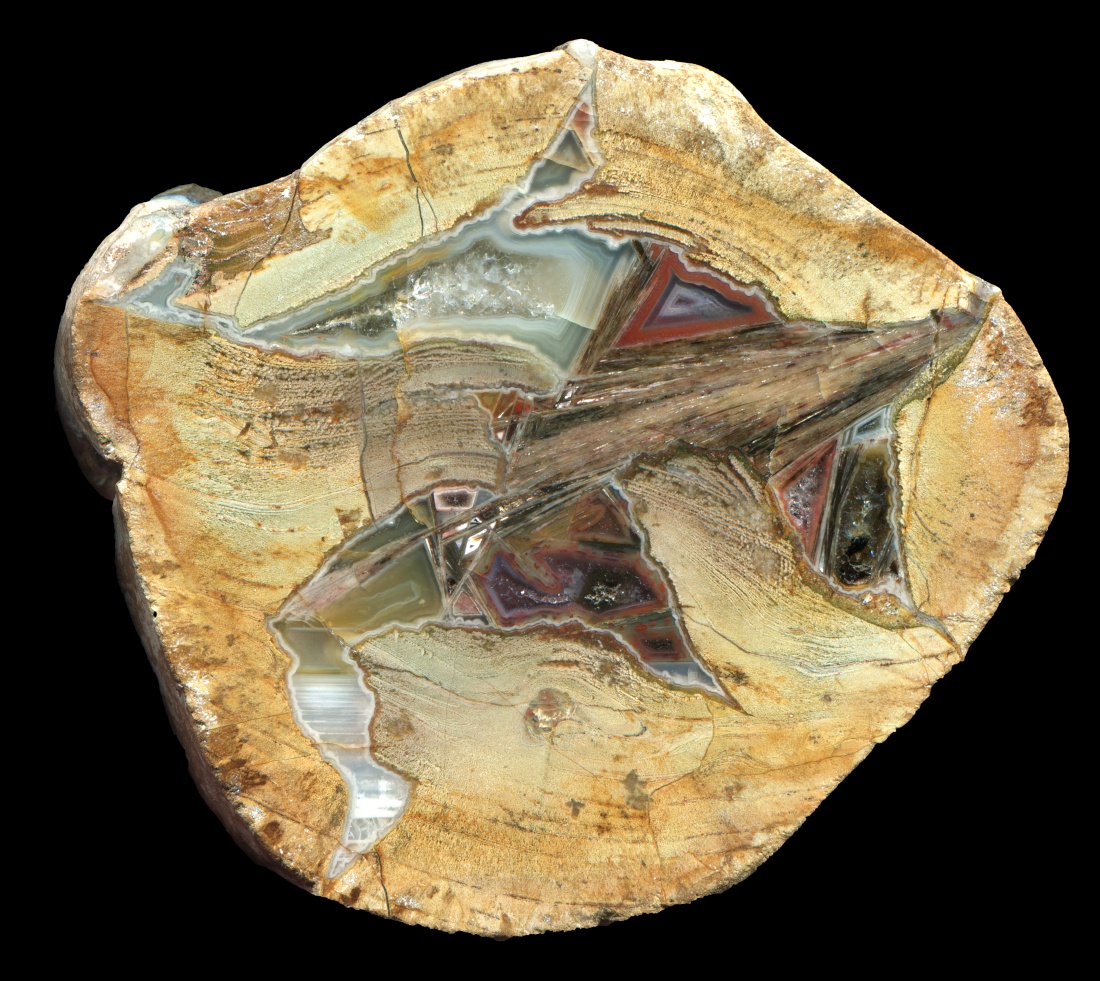 Beautifully Complicated Nasse Wiese Specimen with Sagenite