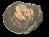 Lierbachtal Thunderegg
