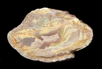 Lierbachtal Thunderegg