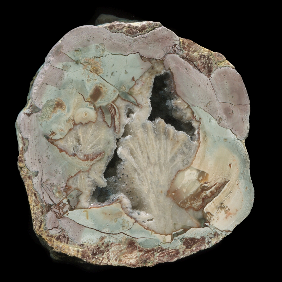 Lierbachtal Thunderegg with Sagenite