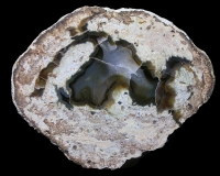 baden baden SWF Thundereggs