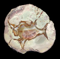 Lierbachtal Thunderegg Agate