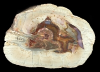 Lierbachtal Thunderegg Agate